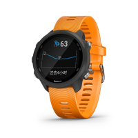 Garmin佳明Forerunner245高阶跑步心率户外运动功能手表旗舰50防水(活力橙)