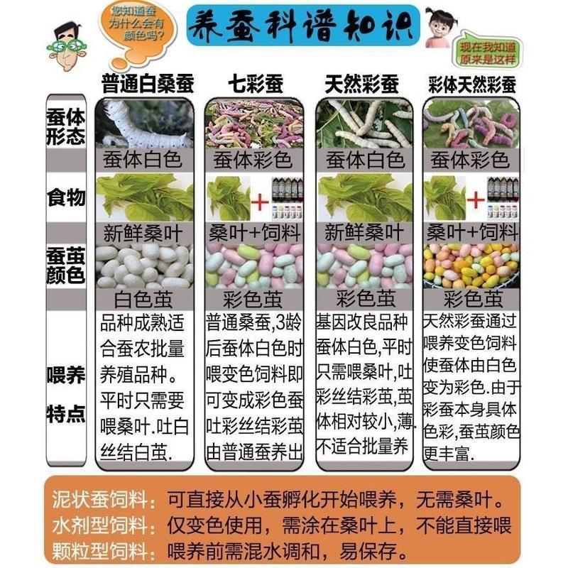 自然小蚕蚕学春蚕变色饲料七彩蚕宝宝饲料液体蚕吃的彩色饲料玩具 液-红黄蓝紫各1瓶送刷