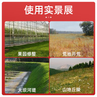 德立希遥控割草机光伏发电站碎草机履带式打草机果园开荒除草柴油大马力 汽油遥控割草机85cm