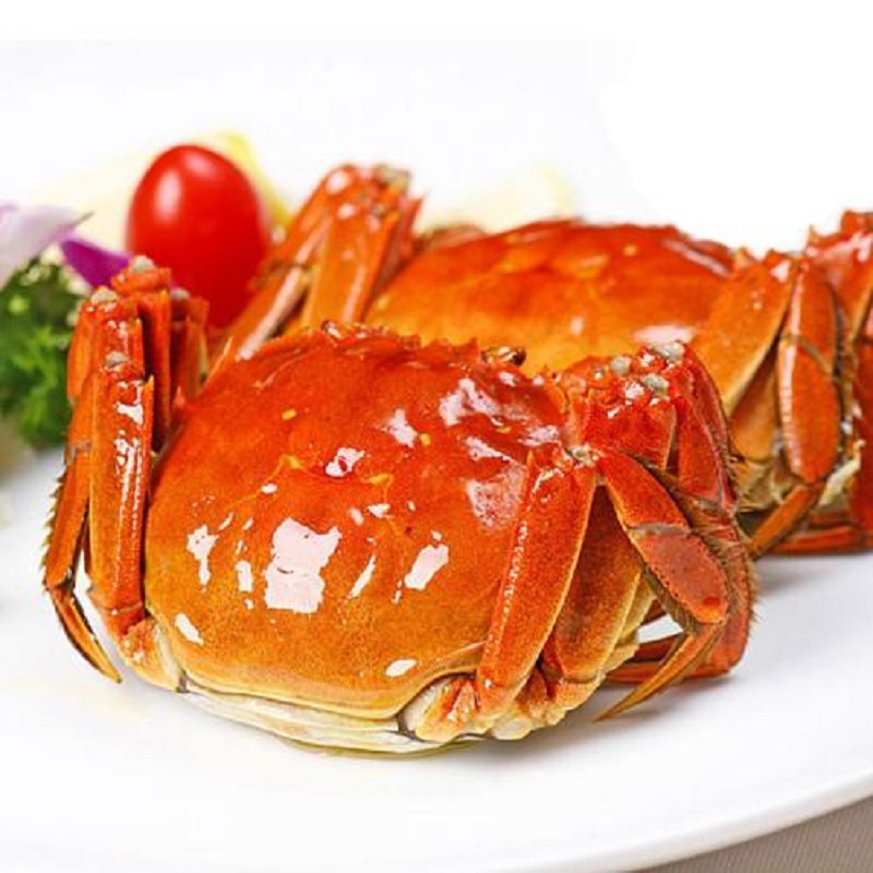 蟹赟大闸蟹488型鲜活实物尊享礼盒母2325两只10只螃蟹