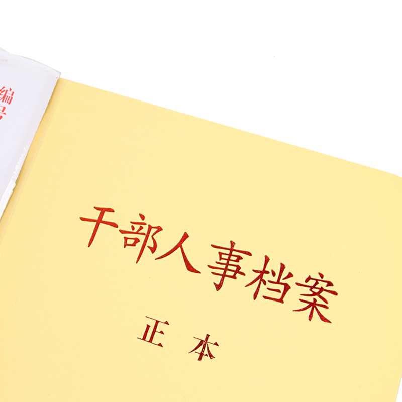 智企亿品 ZQ干部人事档案盒10只装 72111