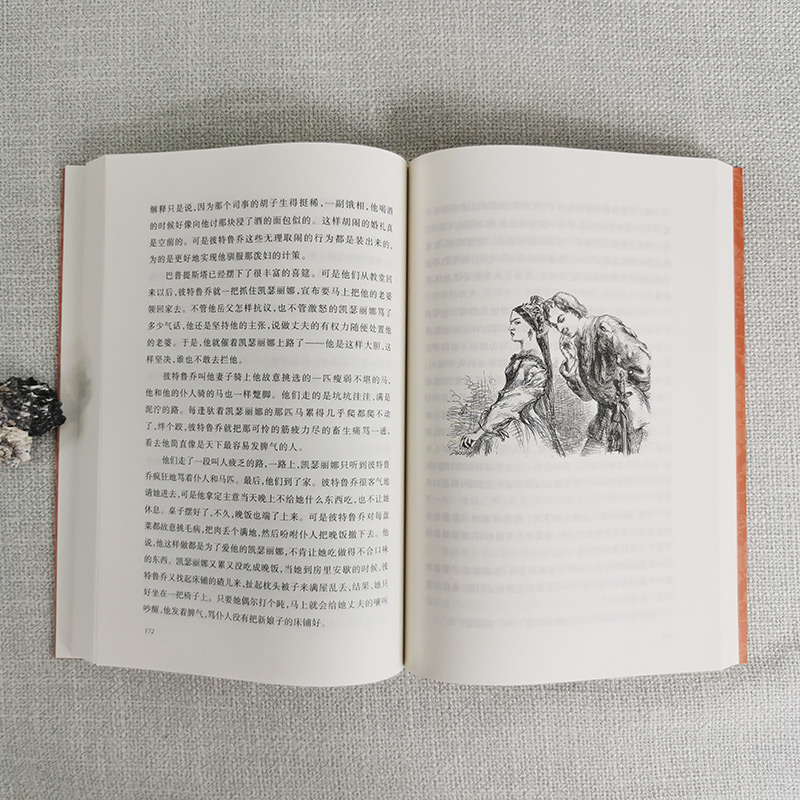 我能跳过水洼[澳 艾伦·马歇尔 著] [正版]莎士比亚戏剧故事集兰姆改写六年级上册课外书萧乾译人民文学出版社少年读莎士比高清大图