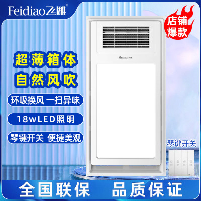 飞雕新款浴霸C11 超薄机身 琴键开关 2600w大功率 C11（浴霸需自行安装）