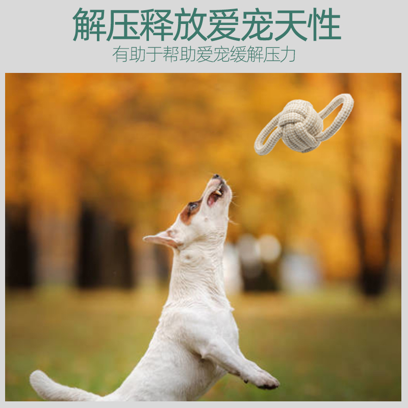 宠物狗狗玩具咬绳耐咬磨牙绳结斗牛柯基巴哥金毛磨牙棒训练用品高清大图