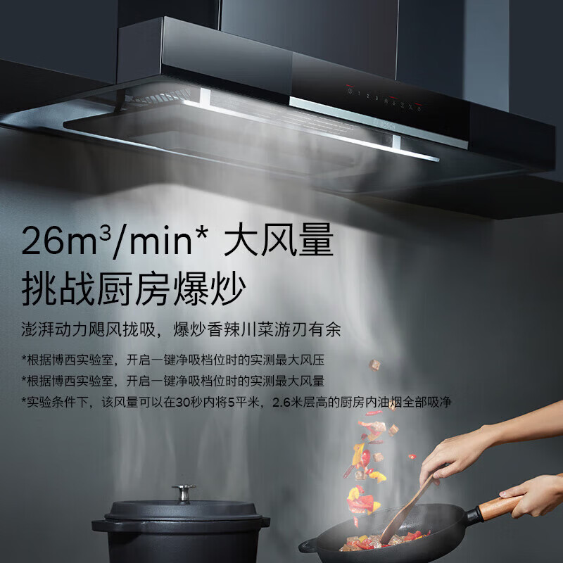 博世(BOSCH)DWF98BC20W[5D飓风环吸]净吸26立方大吸力欧式抽油烟机 内外易清洁 26立方大吸力高清大图