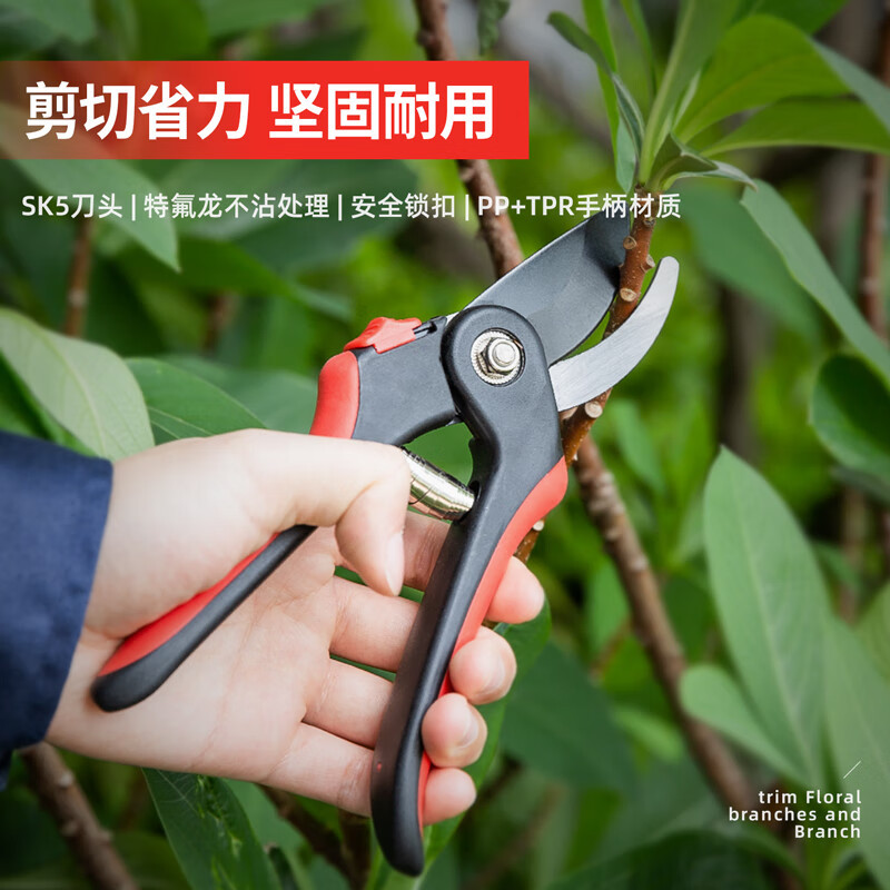得力(deli)树枝剪 园林剪修枝剪粗枝果枝剪花木剪可剪0-20mm树枝