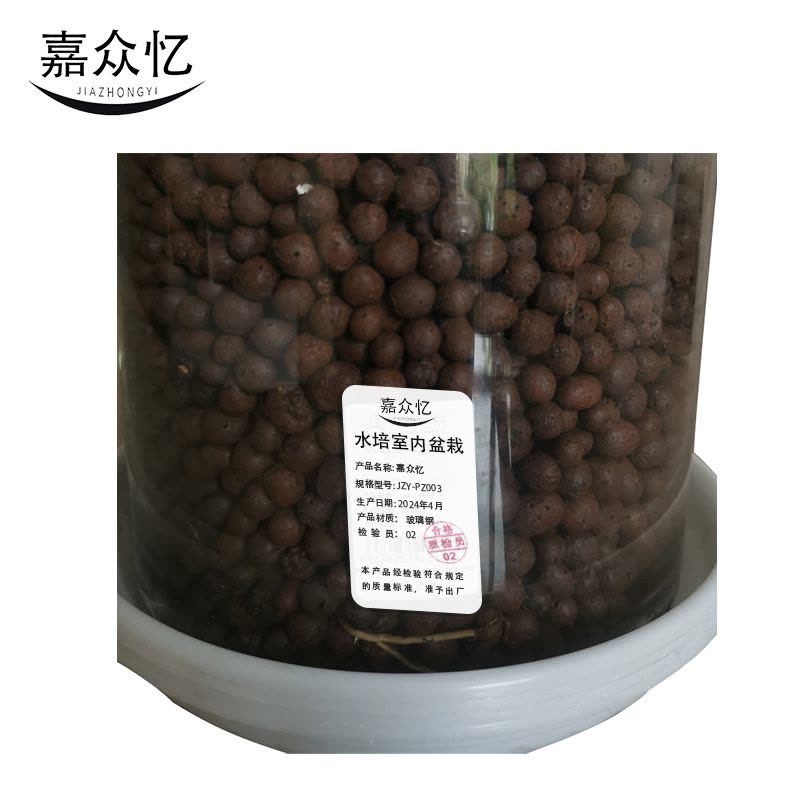 嘉众忆 水培室内盆栽45cm JZY-PZ003 件图片