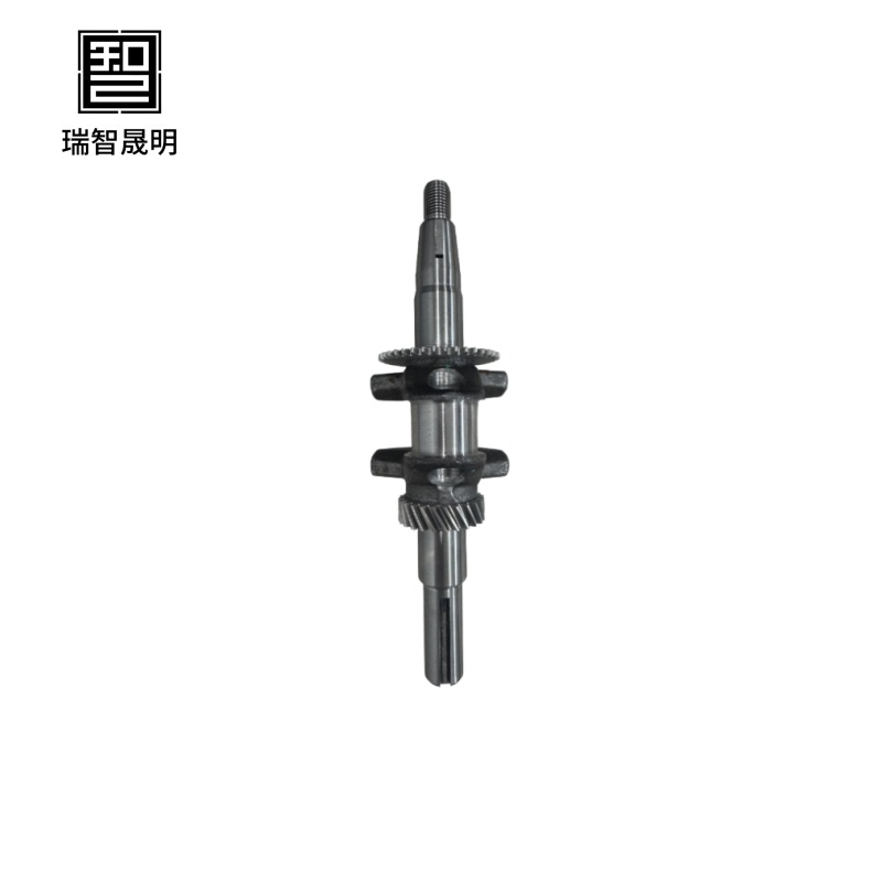 瑞智晟明(RZSM)曲轴RZSM-FDJ200高清大图