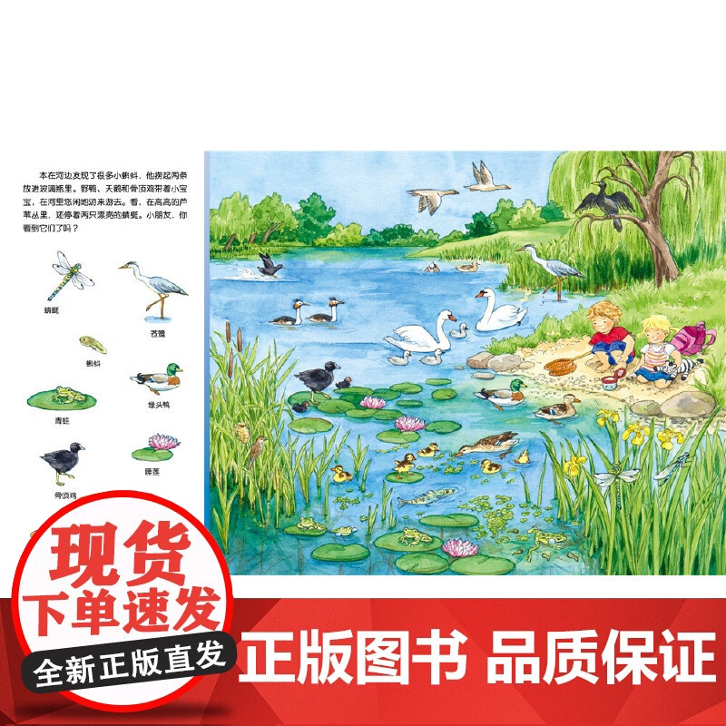 [点读版]1-4岁幼儿专注力培养游戏纸板书宝宝专注力1000全6册动物车子大发现系列游戏绘本2-3岁宝宝撕不烂图画故事书高清大图