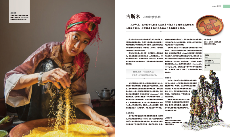 [醉染正版]正版 DK食物的故事 美食文化食物百科全书 图解美食的秘密 世界各地美食菜谱和美食历史 餐桌美食完全解读 美高清大图