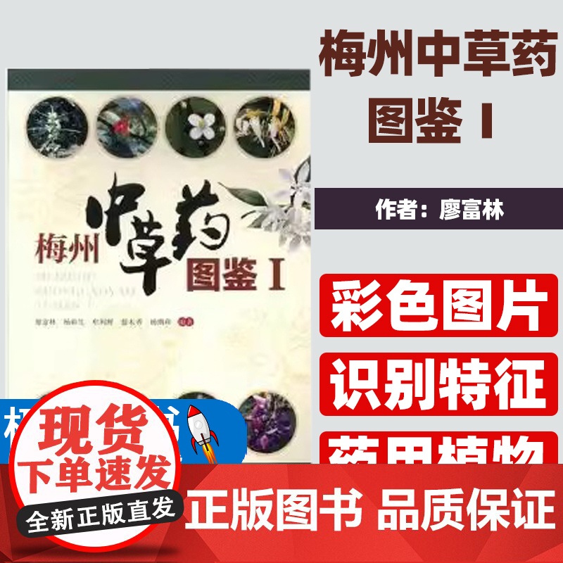 梅州中草药图鉴Ⅰ廖富林【等】编著暨南大学出版社9787566828347