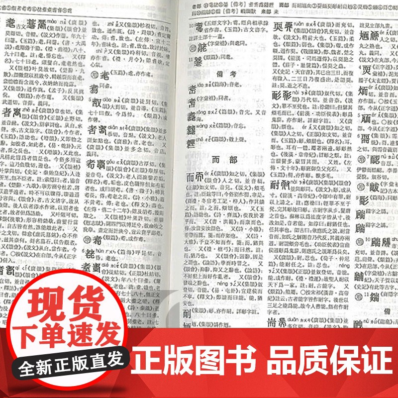 康熙字典标点整理本 汉语大词典编纂处正版书籍部首分类法笔画排列单字共收录汉字47035学术实用性高水平 上海辞书出版社世高清大图