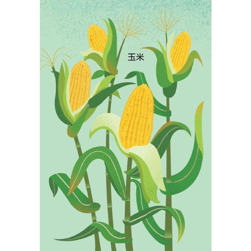 醉染图书小手掌互动翻翻书(全6册)9787554807279高清大图