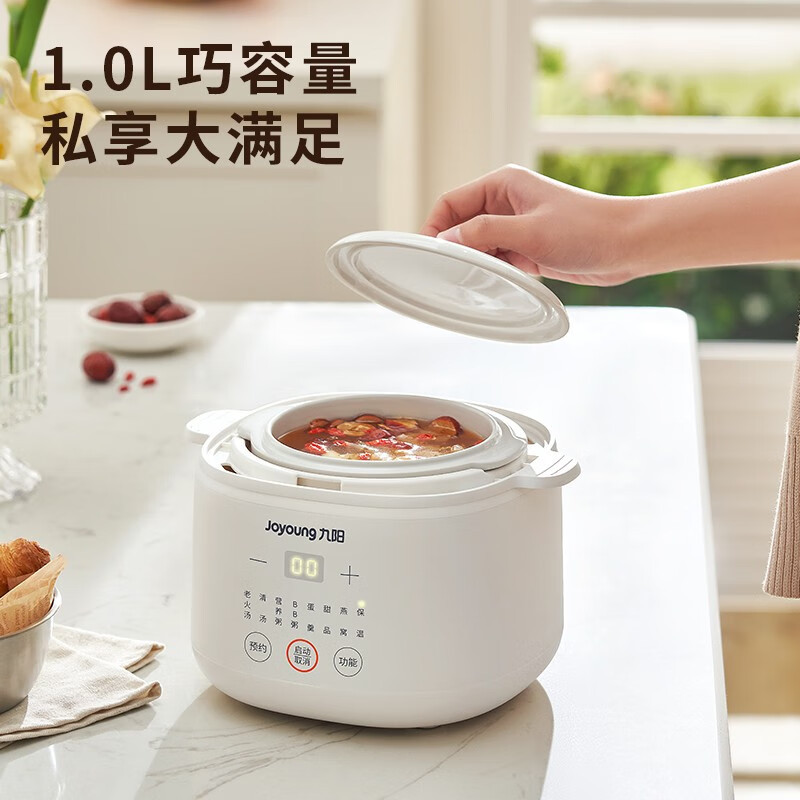 九阳(Joyoung)电炖锅宝宝煮粥锅婴儿辅食锅bb煲汤燕窝电炖盅隔水炖家用陶瓷DG10G-GD102