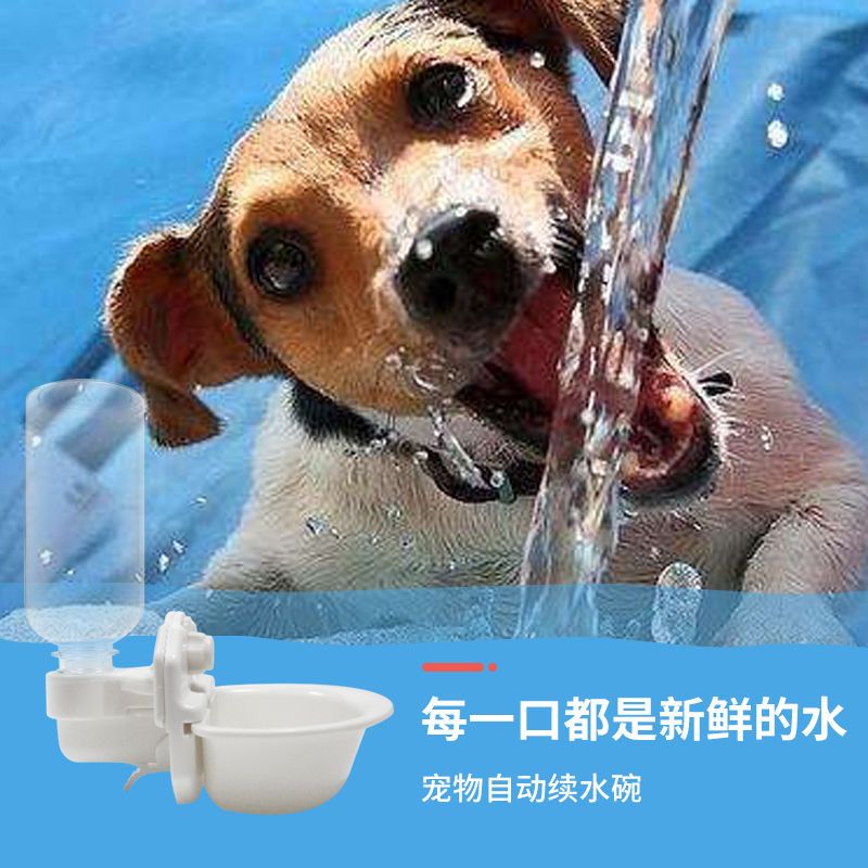 狗饮水器挂式猫咪自动饮水机喂水器宠物饮水器喝水器悬挂式饮水壶 象牙白 悬挂式饮水器
