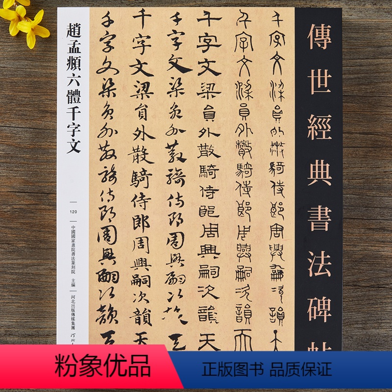 中国　超大判　法帖2冊　趙孟頫 中国 超大判 法帖2冊 趙孟頫