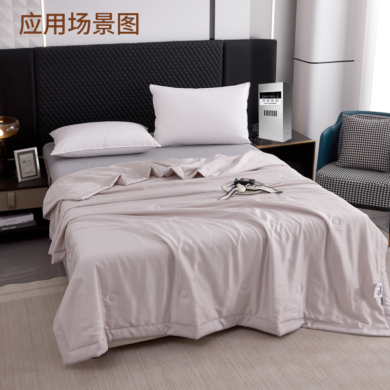 索力孚SLF-500 500ml/天除湿机(计价单位:台)银色高清大图