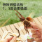 mideer弥鹿昆虫3d立体拼图玩具手工diy儿童益智积木质制拼装模型