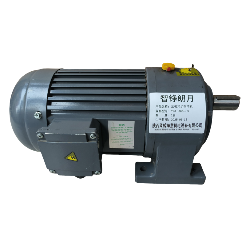 智铮朗月 三相异步电动机 YE3-200L1-6 台高清大图