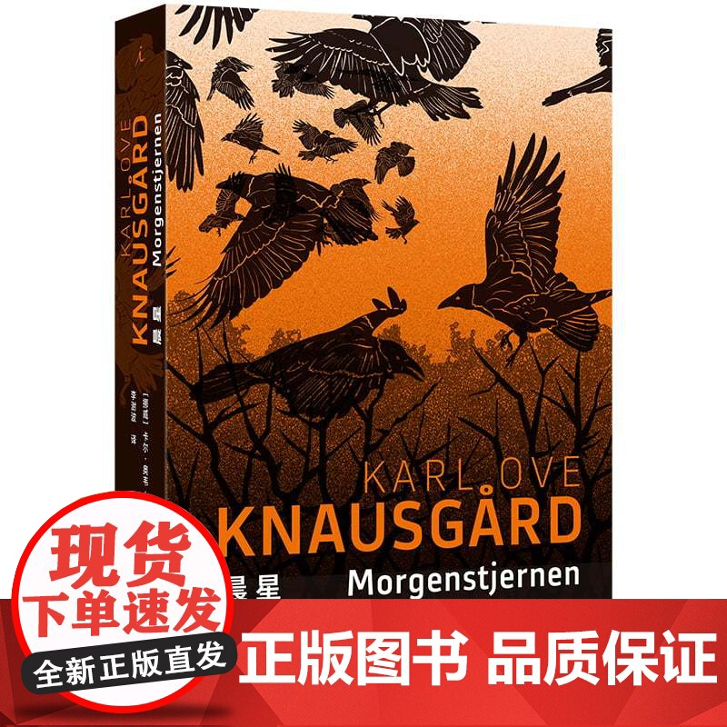 晨星 纽约时报年度关注图书 一个世界末日的隐喻 一部充满神秘色彩的文学寓言 克瑙斯高 北欧文学 悬疑神秘 理想国图书店高清大图
