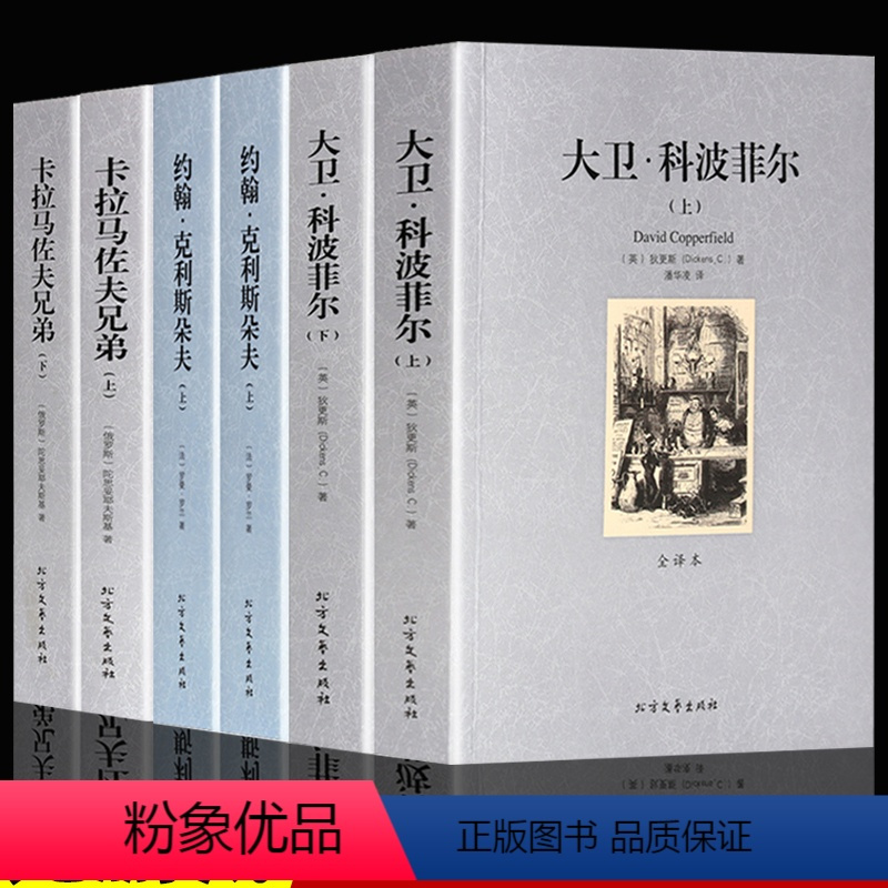 世界经典名著全套6册 [正版]全套6册 大卫科波菲尔 约翰·克利斯朵夫 卡拉马佐夫兄弟外国文学小说名著套装书籍名原著中文