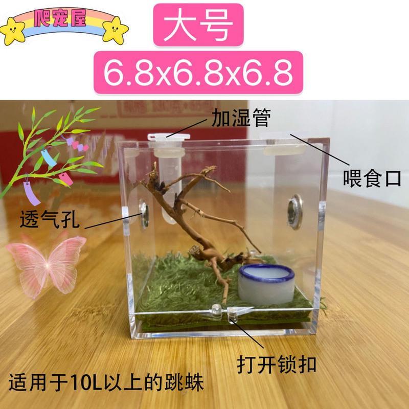 迷你灯 跳蛛饲养盒鸣虫生态盒蝈蝈叫罐竹蛉螳螂电报蛉蜘蛛昆虫加湿生态盒
