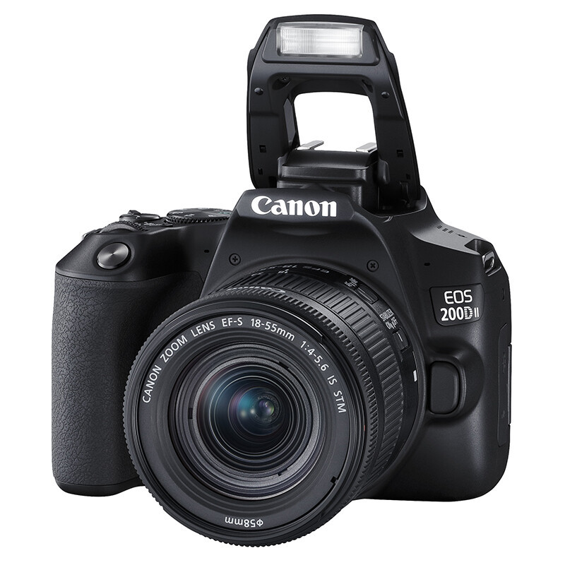 佳能(CANON)200d2代 200D II(18-55mm) 入门级单反相机200d2代vlog家用迷你照相机 黑色高清大图