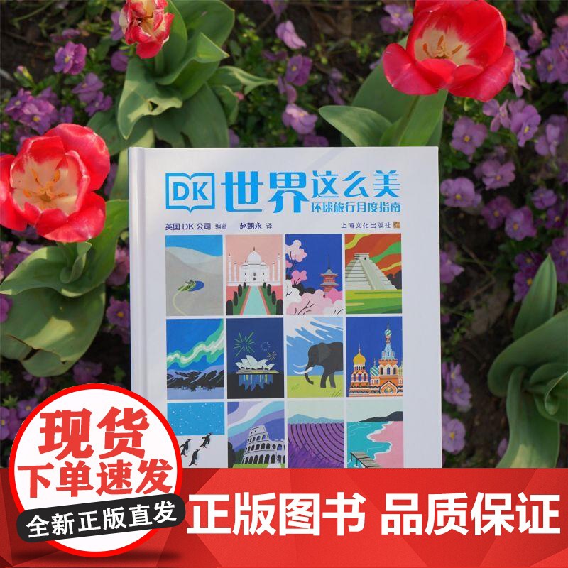 赠限定手绘打卡框集章本]DK世界这么美环球旅行月度指南 英国DK公司编著上海文化出版社旅游攻略旅行主题 另有400个环球高清大图