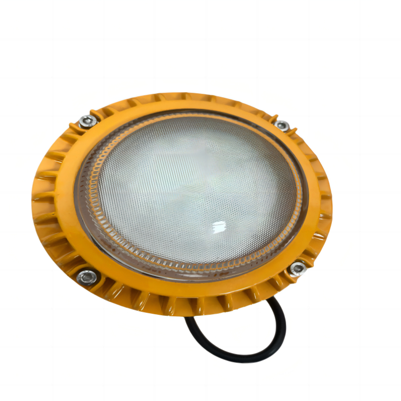 鄂远（EYUAN）LED防爆灯 EY-GD115 9W