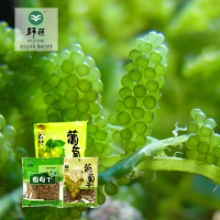 野藤 葡萄干150g 袋装蜜饯果 干果 零食 新疆特产 免洗 葡萄干150g