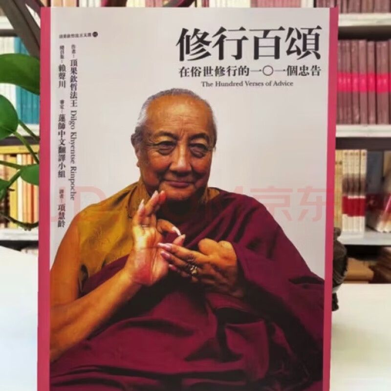 修行百颂在俗世修行的101个忠告 顶果钦哲法王16开大版本高清大图
