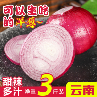 【西沛生鲜】云南紫皮洋葱 大洋葱 新鲜采摘蔬菜 香辣适口 净重3斤装