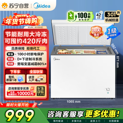 美的冷柜BD/BC-301KM(E)白色