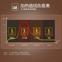 苏泊尔（SUPOR）SWF18E30A 养生壶加厚高硼硅玻璃壶体温控煎药壶煮茶壶全自动电热水壶保温壶