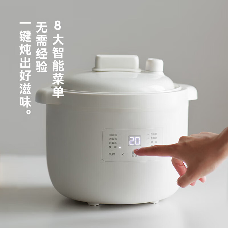 OLAYKS电炖锅2.5L恒温加热可预约OLK-DDG25A高清大图