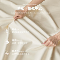 冬熊 北欧简约现代轻奢真皮床双人主卧室小户型网红ins婚床奶油风