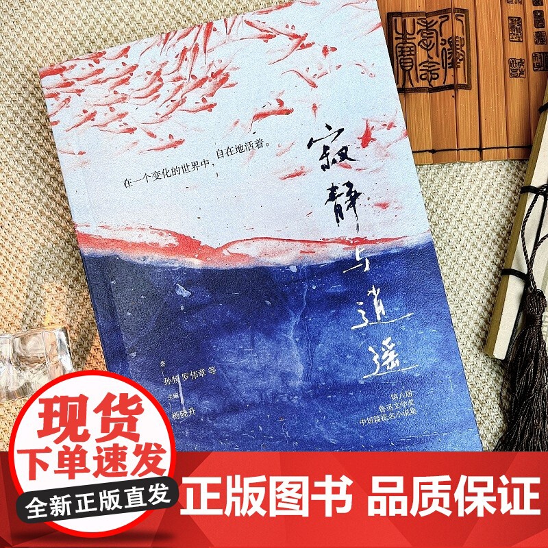 寂静与逍遥 第八届鲁迅文学奖中短篇提名小说集 在一个变化的世界中自在地活着 发挥文学照见人心的力量 9787559665高清大图