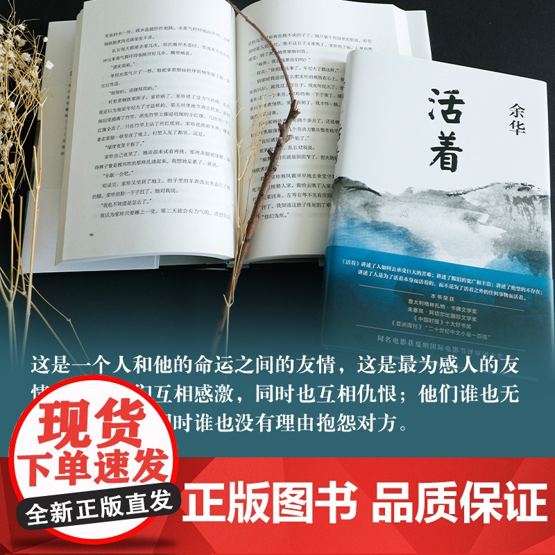 活着 余华精装书籍原著 当代文学小说书籍兄弟许三观卖 血记活着为了讲述平凡的世界在细雨中呼喊文学书籍排行榜高清大图