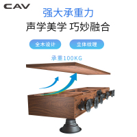 CAV家庭影院回音壁音响家用客厅电视音箱套装蓝牙5.1环绕声道功放低音炮专业K歌KTV TM1200A