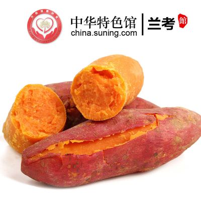 【中华特色】兰考馆越千山红薯 蜜薯5斤 甜糯无丝地瓜/红薯 沙土地 根茎类蔬菜 华中