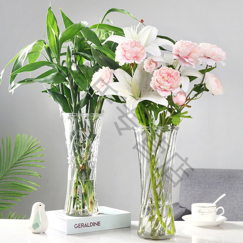 简约大号透明大口玻璃花瓶水培百合富贵竹鲜花插花瓶客厅家用摆件30圆口郁金香大报价 参数 图片 视频 怎么样 问答 苏宁易购
