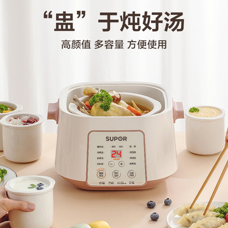 苏泊尔 (SUPOR) 电炖锅大容量 隔水炖电炖锅燕窝隔水电炖盅全自动家用多功能陶瓷BB煲汤锅煮粥锅 DZ25YC828