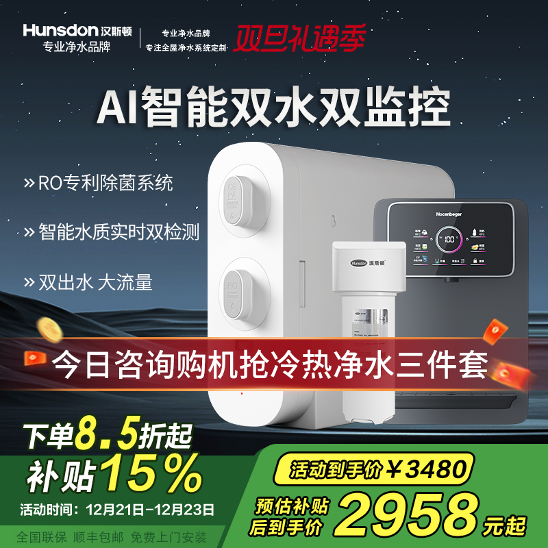 汉斯顿净水器家用直饮厨房无桶大流量500G双出水净水机ro纯水C2