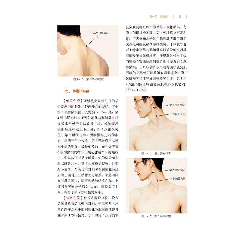 醉染图书实用表面解剖学9787521418576高清大图