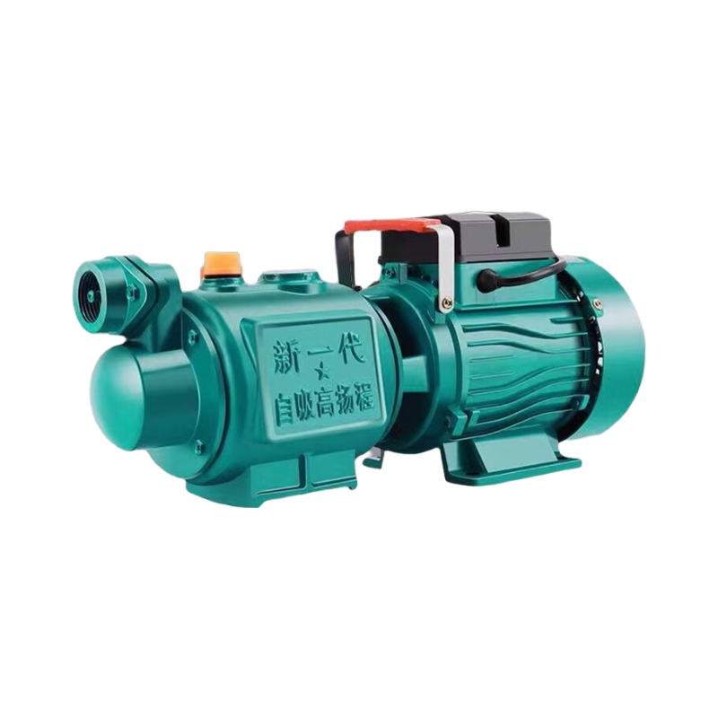 睿易特 YW60 自吸泵220V 线缆长度15米 出口带转接头一寸转4分两个 一寸转6分两个 不锈钢 单位:个