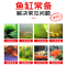 硝化细菌鱼缸用净水剂菌活菌水族养鱼用品净化水质稳定剂
