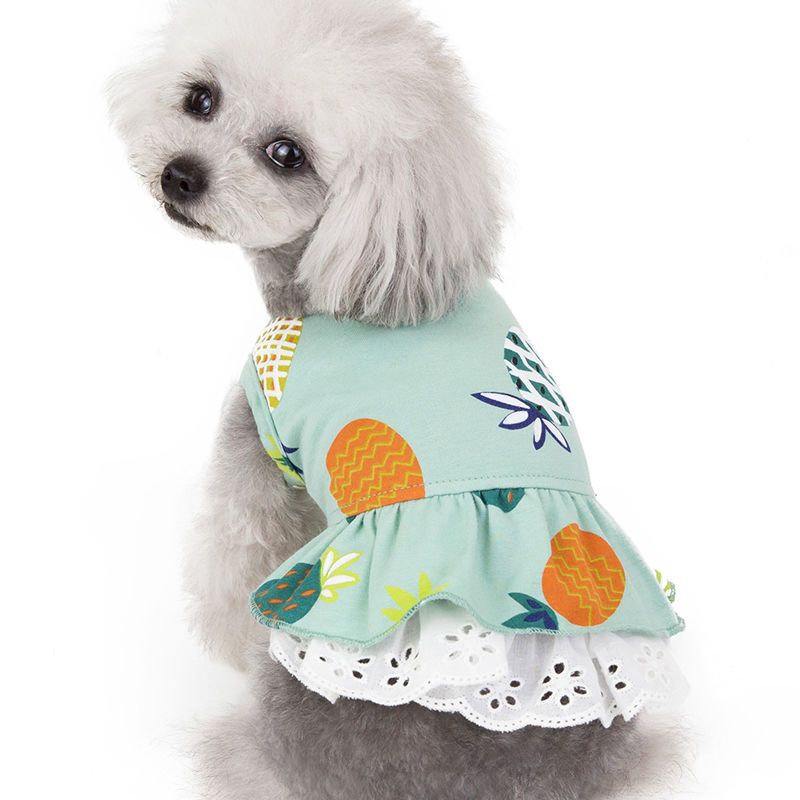 狗狗衣服春夏装薄款泰迪比熊小型犬猫咪菠萝裙子宠物衣服公主可爱