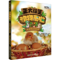 正大综艺 动物来啦 先有鸡还是先有蛋