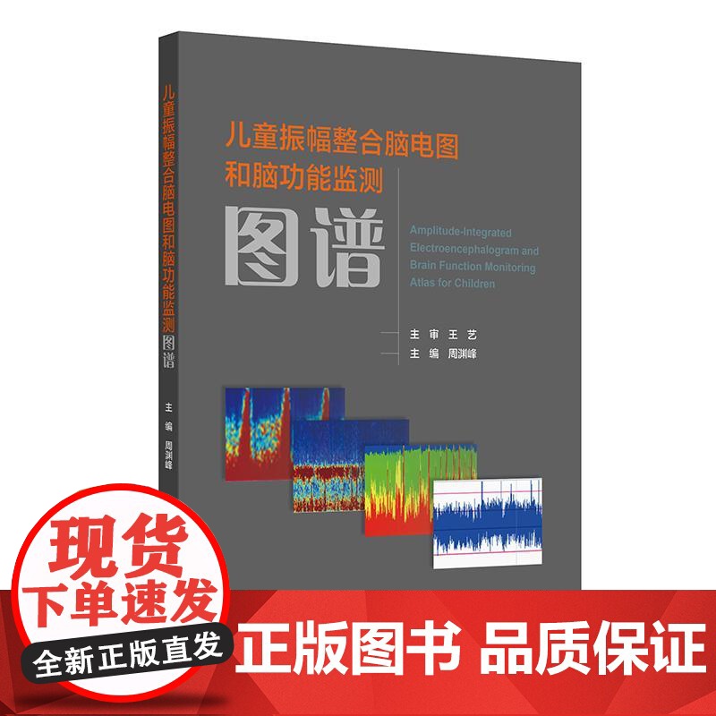 儿童振幅整合脑电图和脑功能监测图谱神经功能脑损伤幼儿语言迟滞儿童神经危重症检查规范脑病aEEG异常神经发育基层医务识别解