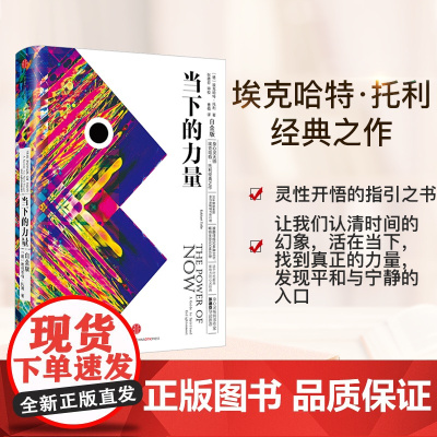 当下的力量(白金版)